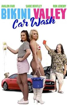 电影：比基尼谷洗车