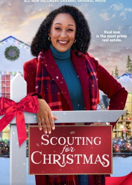 电影:圣诞节侦察