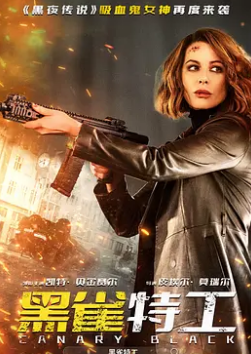电影：黑雀特工