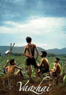 电影:劳动的果实2024