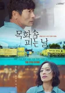 电影:棉花开花的日子