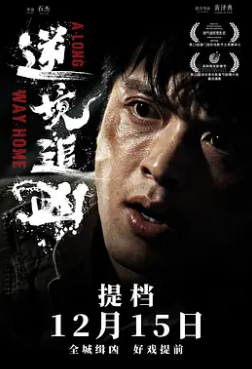 电影:逆境追凶