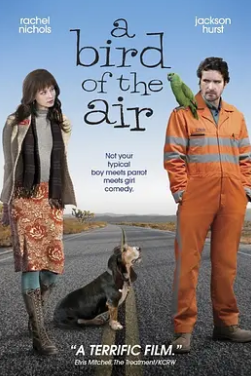 电影：空中的飞鸟