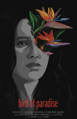 电影：好莱坞梦魇