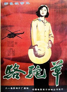 电影:骆驼草