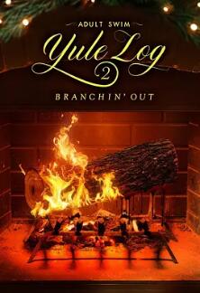 电影：圣诞原木2