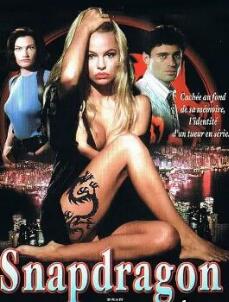 电影:杀人花1993