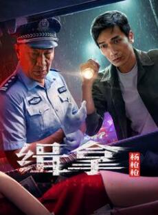 电影:缉拿杨枪枪