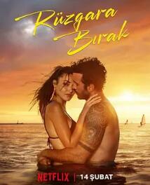 电影：随风而去