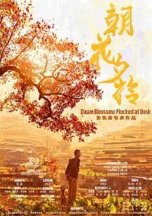 电影:朝花夕拾2024