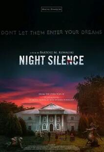 电影:寂静之夜
