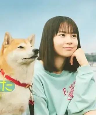 电影:今日份的散步