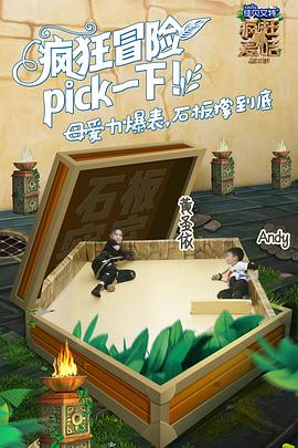 电影:疯狂的麦咭第五季