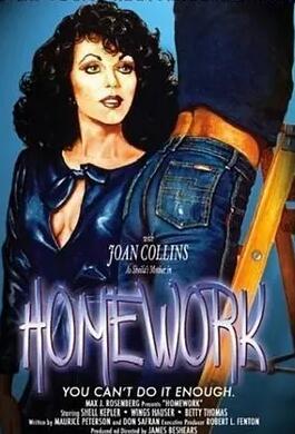 电影:家庭作业1982