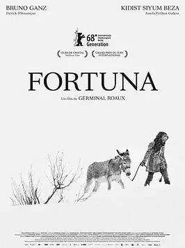 电影：芙朵娜的眼泪