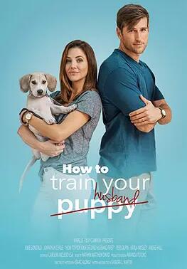 电影:如何挑选你的第二任丈夫