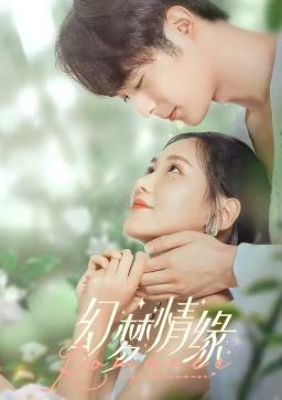 电影：幻梦情缘