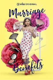 电影:假扮夫妻第一季