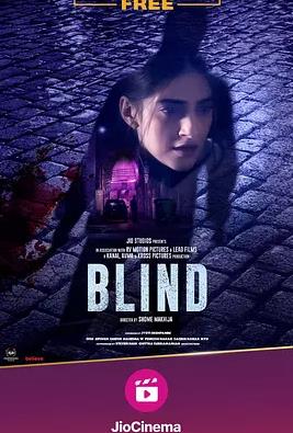 电影:盲证印度版