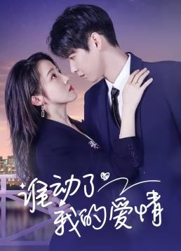 电影:谁动了我的爱情