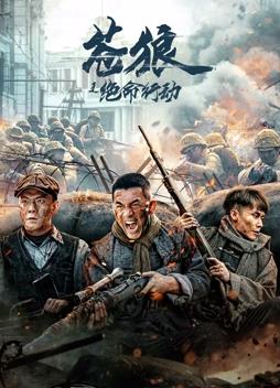 电影:苍狼之绝命行动