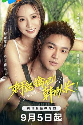 电影:束手就擒吧!韩队长