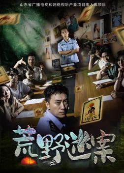 电影:荒野迷案