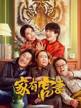 电影:家有虎妻2023