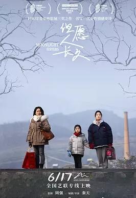 电影:但愿人长久2023(大陆版)