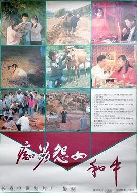 电影:痴男怨女和牛