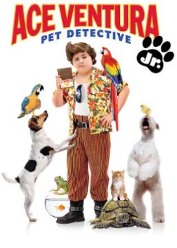 电影:神探飞机头3