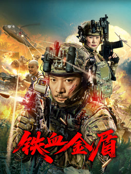 电影:铁血金盾