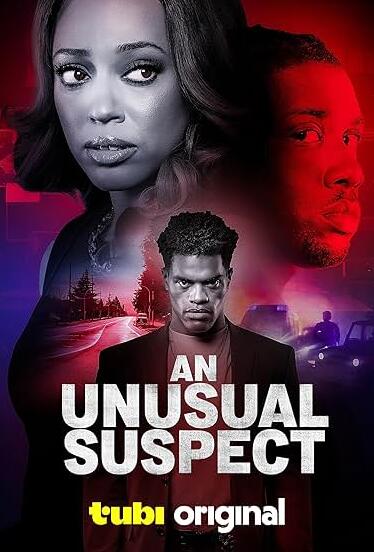 电影：一个不寻常的嫌疑人