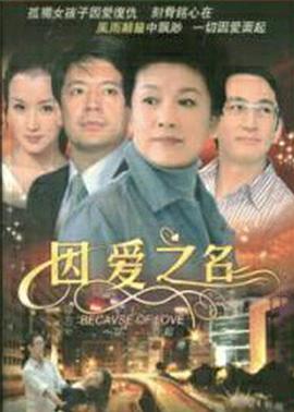 电影:因爱之名