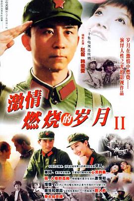 电影:激情燃烧的岁月2