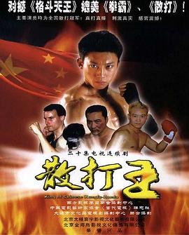 电影:散打王