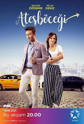 电影:萤火虫2017