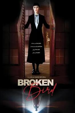 电影:折翼鸟2024