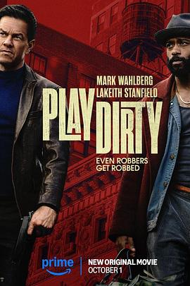 电影:盗亦有道2025