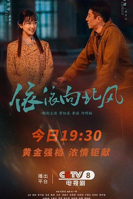 电影:依依向北风