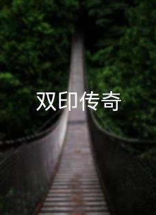 电影:双印传奇