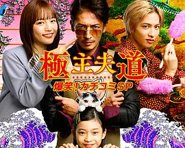 电影:极主夫道 爆笑!找碴