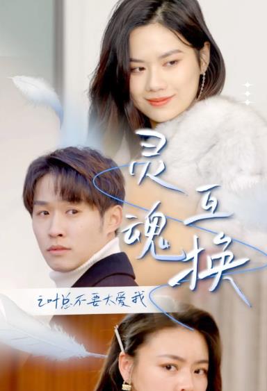 电影：灵魂互换后之叶总不要太爱我