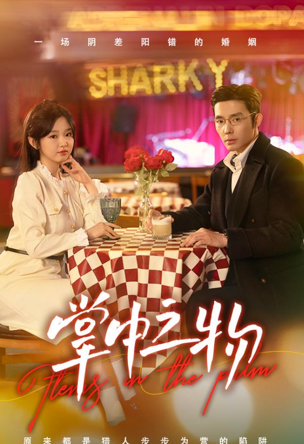 电影：掌中之物