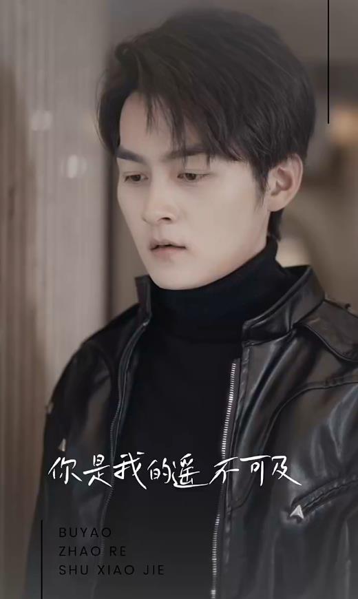 电影：无法触碰的爱2024