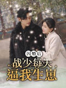 电影：闪婚后战少每天逼我生崽