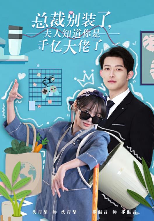 电影：总裁别装了，夫人知道你是千亿大佬了