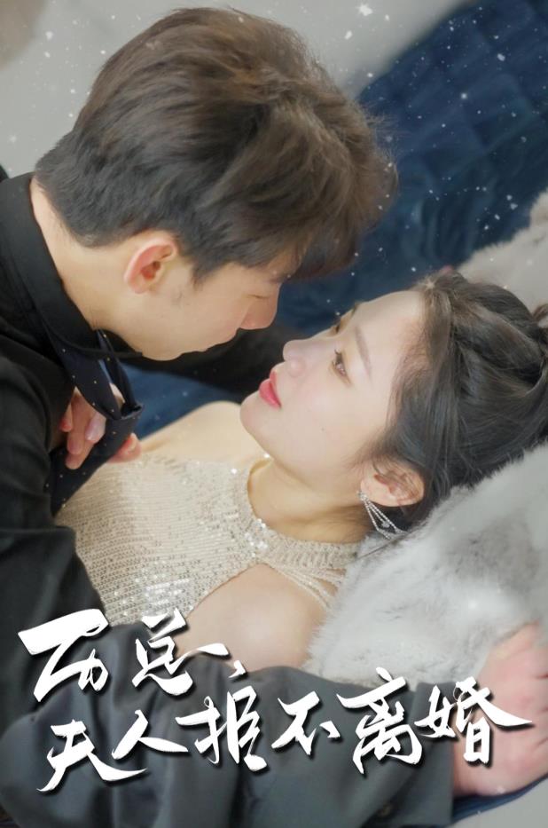 电影：历总，夫人拒不离婚