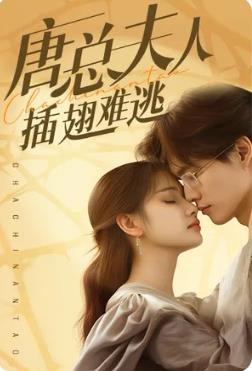 电影:唐总夫人插翅难逃