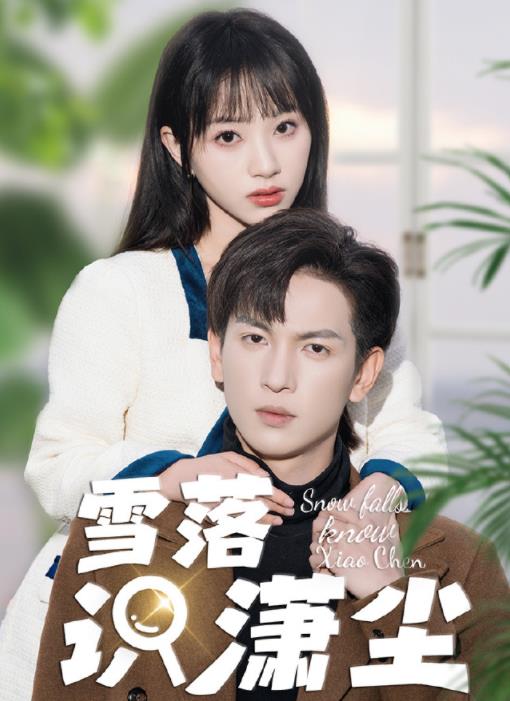 电影：雪落识潇尘